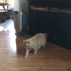 Meet your Posher, Joanne